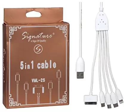 5 in 1 Cable with High Speed Charging Transmitting Capacity Power Supply